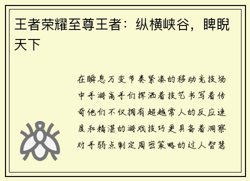 王者荣耀至尊王者：纵横峡谷，睥睨天下