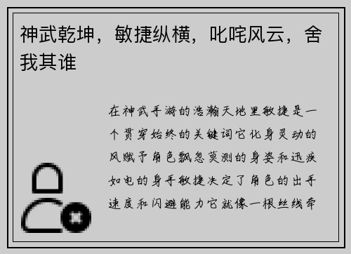神武乾坤，敏捷纵横，叱咤风云，舍我其谁